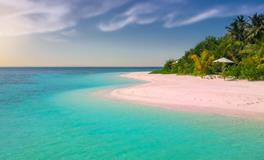 梦到别人送鱼给我