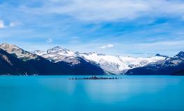 梦见王八是什么意思