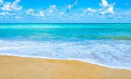 梦见杀乌龟是什么意思