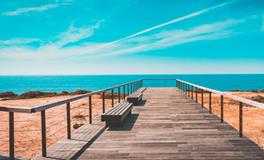 梦见捡到乌龟是什么意思