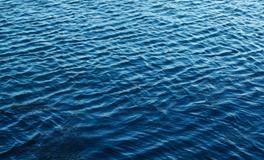 孕妇梦到乌龟吃蛇