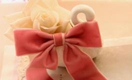 双子座专属蝴蝶结发夹