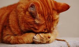 梦见学开车是什么意思