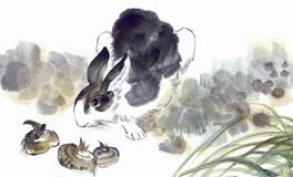 1951年属兔的人2020年运势大全及破解