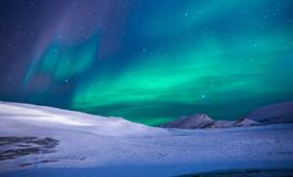 孕妇做梦梦到狗追自己