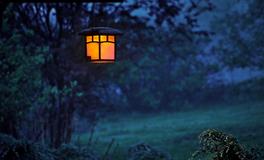 孕妇做梦梦到钱被偷了