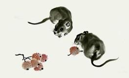 1996年属鼠的人2020年运势大全及破解