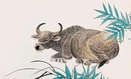 1997年属牛的人2020年运势大全及破解