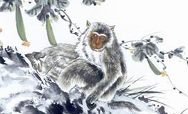 2004年属猴的人2020年运势大全及破解