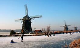 属龙人相害相合相刑相冲的属相