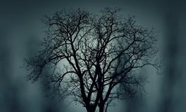 梦到和公公吵架