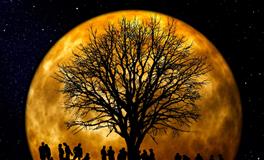 孕妇做梦跟别人吵架