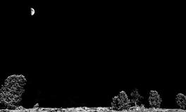 梦到自行车坏了