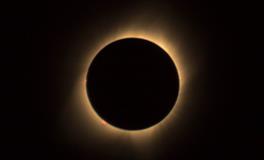 孕妇做梦梦到抓鱼