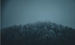 孕妇做梦梦到一条鱼