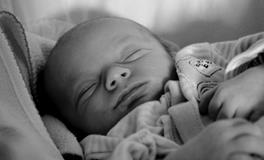 孕妇做梦梦到白色的鱼