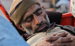 怀孕做梦梦到金鱼