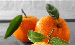 双子座的专属水果