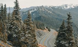 梦见鸡头是什么意思