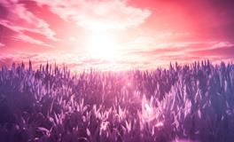 女人梦见很多面条