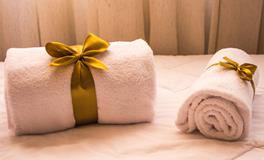 梦见家里好多虫子