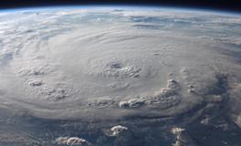 梦见脸上长虫子