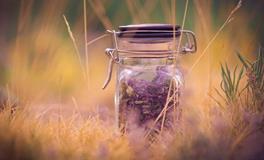 水则堂2018年9月25日生肖运势