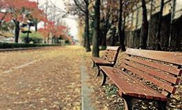 梦到又细又长的虫子