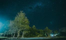 梦到小孩身上有虫子