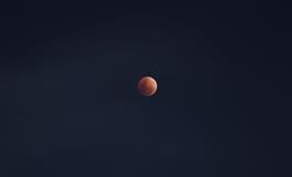 梦到手机掉厕所