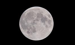 梦见女人上厕所