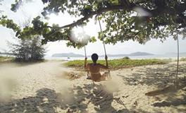 属鸡人的上进心如何