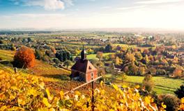 柒爸射手座一周运势（9.24-9.30）