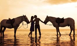 属马男是什么类型的老公