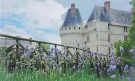 巨蟹座的城堡，巨蟹座专属公主城堡