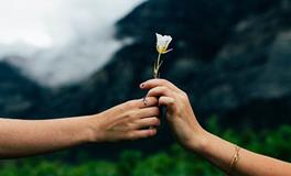 属龙男和属马女的缘分指数