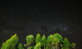 梦见一堆别人的旧鞋