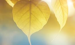 梦到去世的人还活着