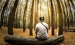 梦到女儿死了是什么意思