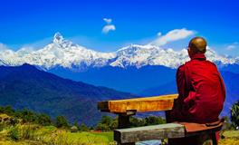 梦到死猫是什么意思