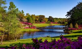 做梦梦到前女友