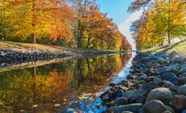 梦见自己结婚没有新郎