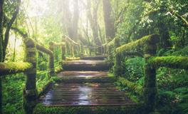 梦见已婚的姐姐办婚礼