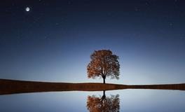 做梦梦到好多小鱼