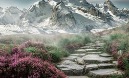 做梦梦到挖坟什么预兆