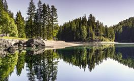 做梦梦到去男朋友家里