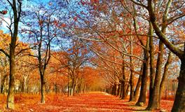 做梦梦到不认识的女孩