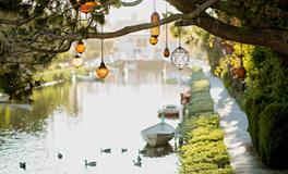 孕妇梦见梨是什么意思