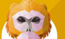 1980年出生的属猴人2020年运势