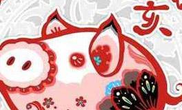 1971年出生的属猪人2020年运势